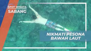 Menghargai Keindahan Bawah Laut yang Memukau di Gua Sarang, Sabang