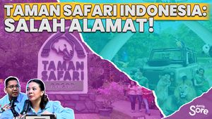 Taman Safari Jawab Soal Dugaan Eksploitasi Eks Pemain Sirkus Oriental Circus Indonesia 