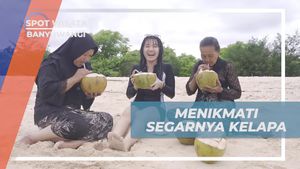 Menyegarkan Diri dengan Air Kelapa di Pantai Pulau Tabuhan di Banyuwangi