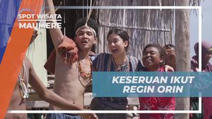 Mengalami Keseruan Proses Regin Orin di Desa Darat Pantai, Maumere