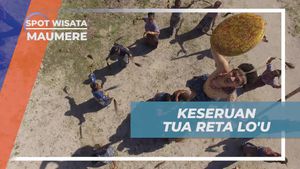 Merasakan Keseruan Tua Reta Lou di Desa Darat Pantai, Maumere