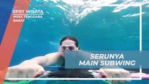 Serunya Mengalami Bermain Subwing Di Bawah Laut Gili Trawangan