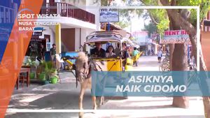 Menikmati Perjalanan Menawan Naik Cidomo Di Gili Trawangan