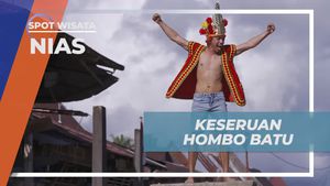 Mengalami Keseruan Tradisi Hombo Batu Di Nias