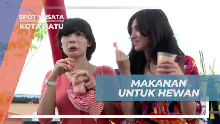 Memberi Makan Hewan di Batu Secret Zoo, Jawa Timur