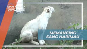 Memancing dengan Seru di Batu Secret Zoo, Jawa Timur