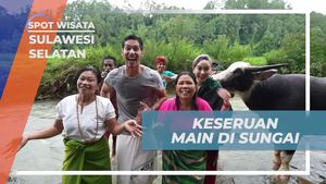 Bersenang-senang di Sungai Sambil Memandikan Kerbau di Sulawesi Selatan