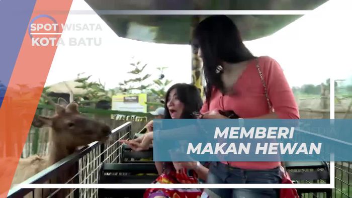 Berkeliling dan Menyusuri Batu Secret Zoo Sambil Memberi Makan Hewan, Jawa Timur