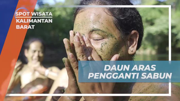 Menemukan Lulur Alami dari Daun Aras di Kalimantan Barat