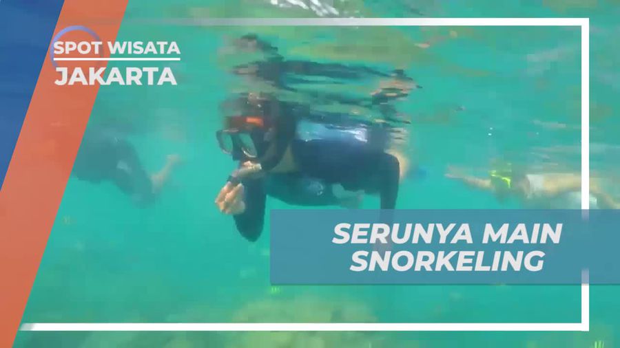 Menikmati Keindahan Alam Bawah Laut Sambil Snorkeling di Pulau Macan
