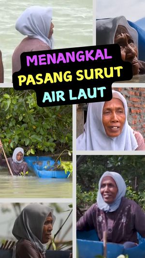 Video: Pasijah dan Aksi Tanam Bakau Demi Menangkal Pasang Surut Air Laut