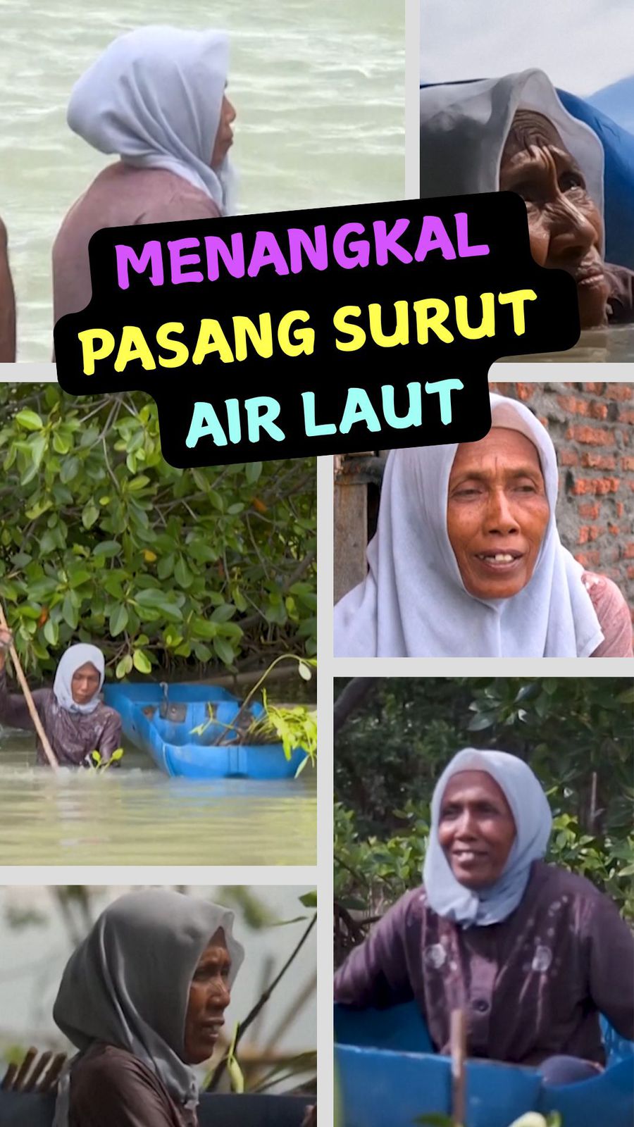 Video: Pasijah dan Aksi Tanam Bakau Demi Menangkal Pasang Surut Air Laut