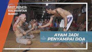 Bersaksi dalam Tradisi Ayam sebagai Penyampai Doa di Kalimantan Barat