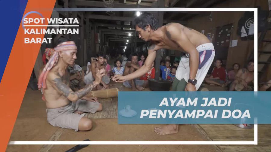 Bersaksi dalam Tradisi Ayam sebagai Penyampai Doa di Kalimantan Barat