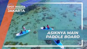 Bersenang-Senang dengan Paddle Board di Keindahan Pulau Macan