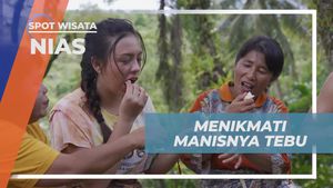Menikmati Kesegaran Manisnya Tebu di Desa Bawomataluo, Nias