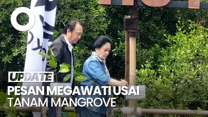 Video: Pramono Ungkap Pesan Megawati Usai Tanam Mangrove di Hutan Lindung Kapuk