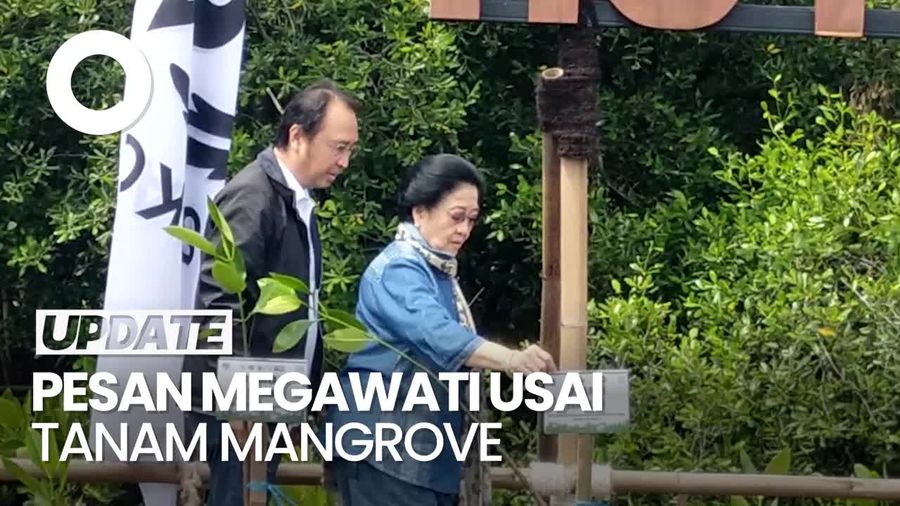 Video: Pramono Ungkap Pesan Megawati Usai Tanam Mangrove di Hutan Lindung Kapuk