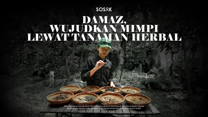 Damaz, Wujudkan Mimpi Lewat Tanaman Herbal