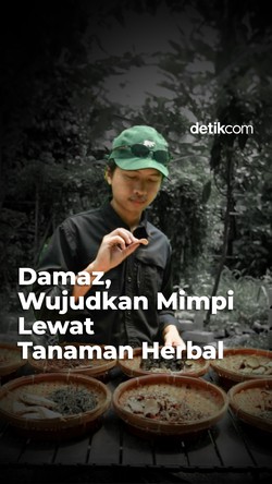 Damaz, Wujudkan Mimpi Lewat Tanaman Herbal