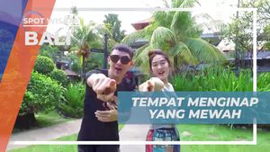 Menginap dengan Mewah di Hotel Impian di Bali
