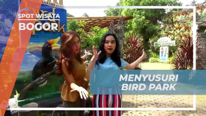 Menyusuri Bird Park dan Berinteraksi Dengan Berbagai Burung di Bogor