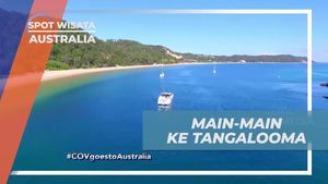 Bersenang-senang di Tangalooma, Australia