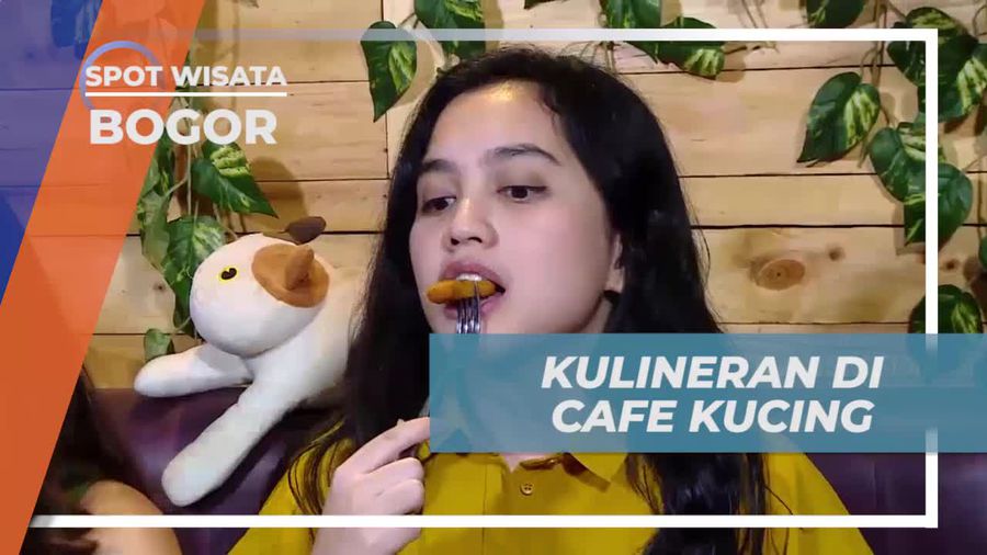 Menggali Keberagaman Kuliner di Kafe Kucing Bogor