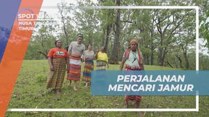 Mengikuti Perjalanan Mencari Jamur di Alam Segar Fatumnasi, Nusa Tenggara Timur