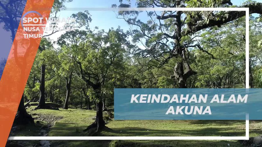 Mengeksplor Keindahan Alam Akuna yang Memesona di Nusa Tenggara Timur