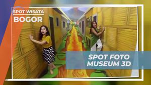 Mengabadikan Momen di Museum 3D Trick Art yang Unik di Bogor