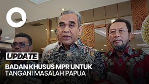 Video: Muzani Bentuk MPR for Papua, Diketuai Yorrys Raweyai
