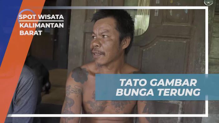 Menyaksikan Proses Pembuatan Tato Bunga Terung di Kalimantan Barat