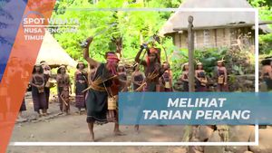 Menyaksikan Pertunjukan Tarian Perang yang Mengagumkan di Desa Takpala, NTT