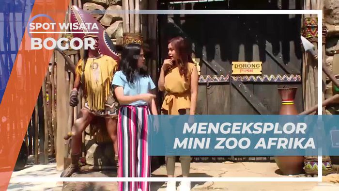 Mengeksplorasi Mini Zoo Afrika yang Penuh Kejutan di Bogor