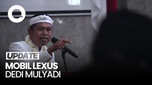  Video: Kata Dedi Mulyadi soal Mobil Lexus Miliknya Nunggak Pajak 