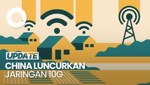 Video: Keren! China Luncurkan Internet 10G Tercepat di Dunia