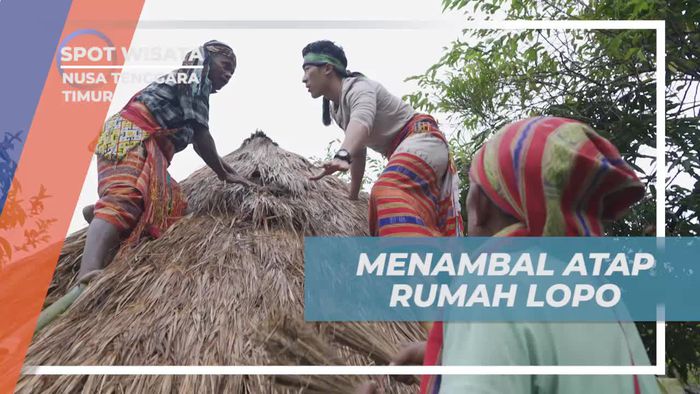 Membantu Menambal Atap Rumah Adat Lopo di Nusa Tenggara Timur