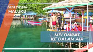 Melompat Ceria ke Dalam Lautan Maluku