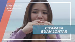 Menikmati Citarasa Manis Buah Lontar di Nusa Tenggara Timur