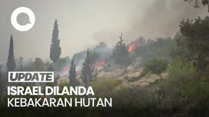 Video: Kebakaran Hutan Landa Israel Meluas hingga Perbukitan Yerusalem
