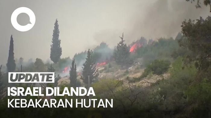 Video: Kebakaran Hutan Landa Israel Meluas hingga Perbukitan Yerusalem
