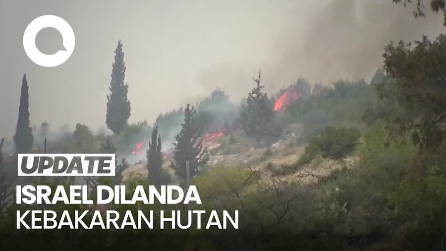 Video: Kebakaran Hutan Landa Israel Meluas hingga Perbukitan Yerusalem