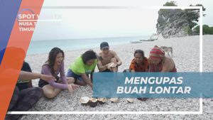 Mengupas Buah Lontar Bersama Warga di Desa Fatumnasi, Nusa Tenggara Timur