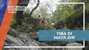 Menggapai Kesegaran saat Tiba di Mata Air Desa Fatumnasi, Nusa Tenggara Timur