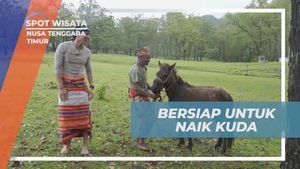Bersiap Menikmati Sensasi Berkuda di Desa Fatumnasi, Nusa Tenggara Timur