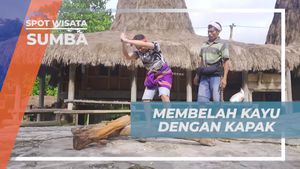 Belajar Membelah Kayu dengan Kapak di Sumba