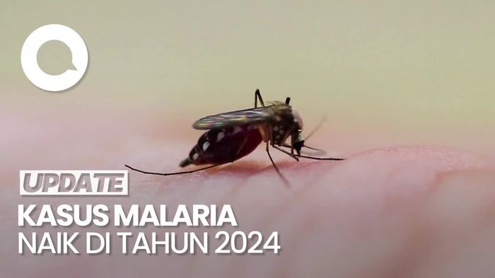 Video Kemenkes: 95% Kasus Malaria dari Wilayah Timur Indonesia