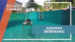 Asyiknya Berenang di Kolam Renang Aruna Resort, Lombok