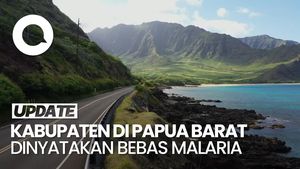 Video: Wanti-wanti Kemenkes ke Provinsi yang Dinyatakan Bebas Malaria